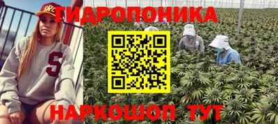 ALPHA PVP Кунгур
