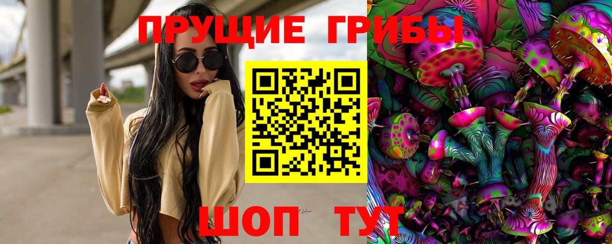 Псилоцибиновые грибы GOLDEN TEACHER Чайковский