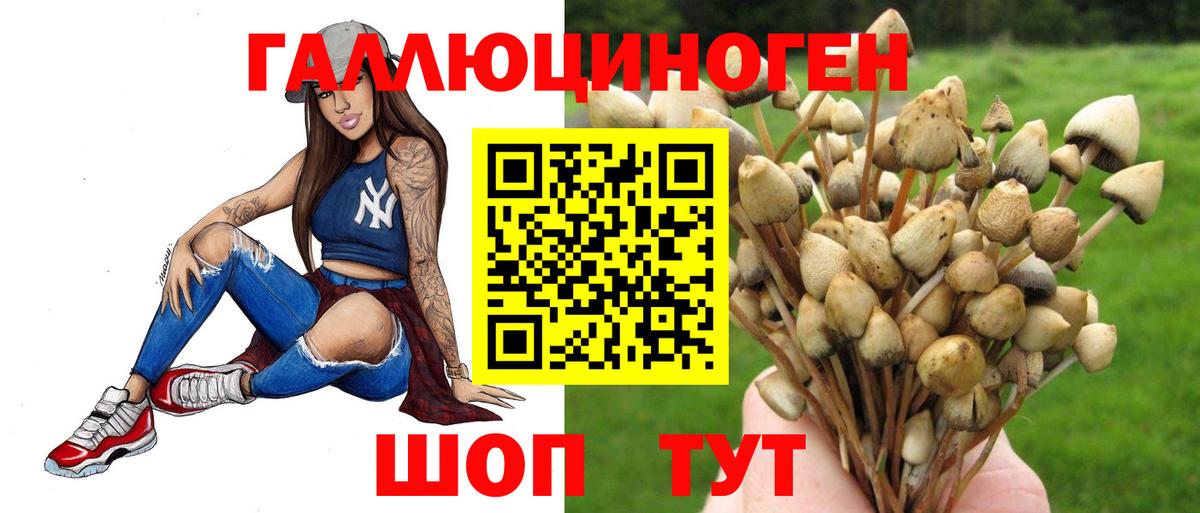 Галлюциногенные грибы MAGIC MUSHROOMS  Галлюциногенные грибы Psilocybe  Чайковский  купить наркоту  Вход с VPN 